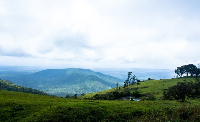 动的未来 动的未来
