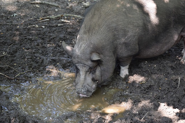 仅揭示了球 仅揭示了球