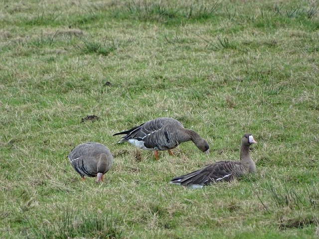 引人注目 引人注目