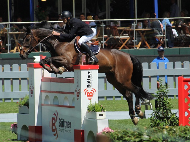 其他争冠对 其他争冠对