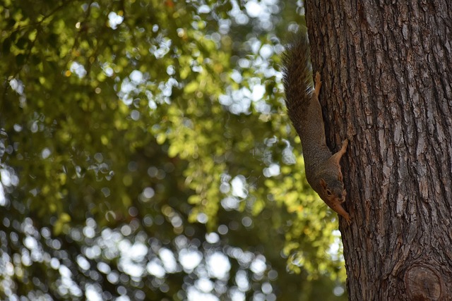 本美和的标 本美和的标