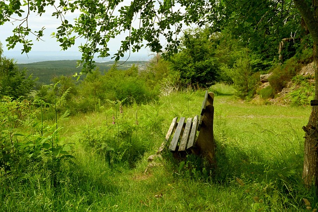转化率提升 转化率提升